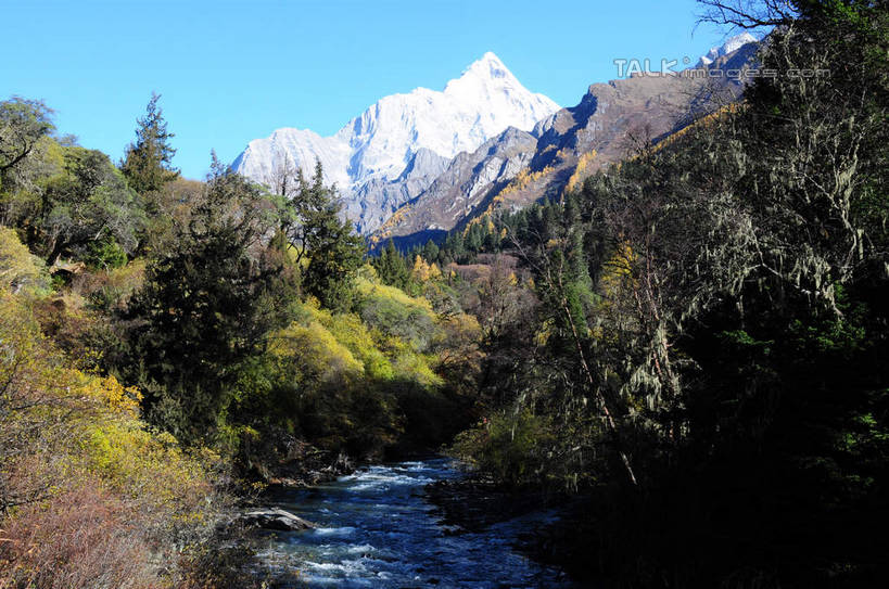 无人,横图,室外,白天,正面,旅游,度假,草地,草坪,河流,石头,美景,山,树林,水,雪,雪山,植物,大雪,中国,亚洲,阴影,光线,石子,影子,河水,积雪,景观,山峰,水流,雪景,冬天,山峦,娱乐,草,树,树木,蓝色,绿色,蓝天,天空,小溪,阳光,自然,天,溪水,享受,休闲,景色,放松,四川省,生长,成长,自然风光,东亚,四川,阿坝,中华人民共和国,西南地区,阿坝藏族羌族自治州,阿坝州,长坪沟,川,四姑娘山,石块,岩石,彩图,shsgf1