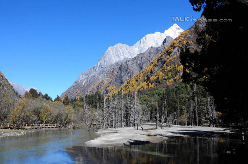 无人,栏杆,横图,室外,白天,正面,旅游,度假,草地,草坪,河流,美景,山,树林,水,雪,雪山,植物,大雪,中国,亚洲,阴影,光线,影子,河水,积雪,景观,山峰,水流,雪景,冬天,围栏,山峦,娱乐,护栏,草,树,树干,树木,蓝色,绿色,蓝天,天空,阳光,自然,天,享受,休闲,景色,放松,四川省,生长,成长,自然风光,东亚,四川,阿坝,中华人民共和国,西南地区,阿坝藏族羌族自治州,阿坝州,长坪沟,川,四姑娘山,彩图,shsgf1