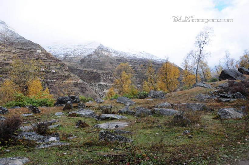 无人,横图,室外,白天,正面,旅游,度假,草地,草坪,石头,美景,山,树林,雪,雪山,植物,雾,大雪,中国,亚洲,许多,枯萎,朦胧,模糊,散落,石子,积雪,景观,山峰,山坡,雪景,冬天,枯草,山峦,娱乐,草,树,树木,蓝色,绿色,蓝天,天空,自然,天,享受,休闲,景色,放松,四川省,生长,成长,迷雾,自然风光,东亚,四川,阿坝,中华人民共和国,西南地区,阿坝藏族羌族自治州,阿坝州,川,海子沟,四姑娘山,石块,岩石,大雾,彩图,shsgf1