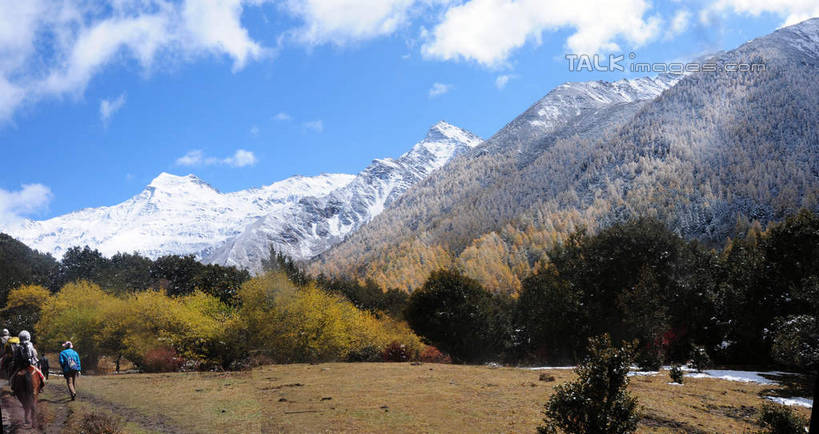 东方人,四个人,横图,室外,白天,旅游,度假,草地,草坪,美景,山,树林,雪,雪山,植物,大雪,马,中国,亚洲,许多,骑马,阴影,枯萎,光线,影子,积雪,景观,山峰,山坡,雪景,云,云朵,冬天,枯草,山峦,云彩,黄种人,娱乐,马匹,草,树,树木,背面,蓝色,绿色,白云,蓝天,天空,阳光,自然,动物,天,享受,休闲,景色,放松,四川省,生长,成长,自然风光,东亚,四川,阿坝,中华人民共和国,西南地区,阿坝藏族羌族自治州,阿坝州,川,海子沟,四姑娘山,男人,男性,年轻男性,年轻女性,女人,女性,亚洲人,半身,彩图,shsgf1