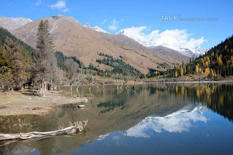 无人,横图,室外,白天,正面,旅游,度假,草地,草坪,湖,湖泊,美景,山,树林,水,雪,雪山,植物,大雪,中国,亚洲,阴影,反射,光线,影子,湖面,积雪,景观,山峰,水流,水面,雪景,云,云朵,冬天,山峦,云彩,娱乐,草,树,树干,树木,蓝色,绿色,白云,倒影,蓝天,天空,阳光,自然,湖水,天,享受,休闲,景色,放松,四川省,生长,成长,自然风光,东亚,四川,阿坝,中华人民共和国,西南地区,阿坝藏族羌族自治州,阿坝州,川,双桥沟,四姑娘山,彩图,shsgf1