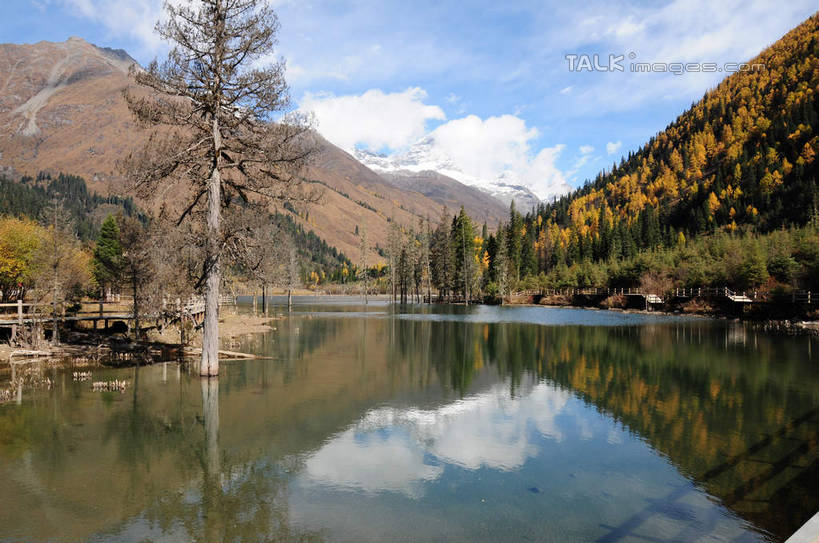 无人,横图,室外,白天,正面,旅游,度假,草地,草坪,湖,湖泊,美景,山,树林,水,雪,雪山,植物,大雪,中国,亚洲,阴影,反射,光线,影子,湖面,积雪,景观,山峰,水流,水面,雪景,云,云朵,冬天,山峦,云彩,娱乐,草,树,树干,树木,蓝色,绿色,白云,倒影,蓝天,天空,阳光,自然,湖水,天,享受,休闲,景色,放松,四川省,生长,成长,自然风光,东亚,四川,阿坝,中华人民共和国,西南地区,阿坝藏族羌族自治州,阿坝州,川,双桥沟,四姑娘山,彩图,shsgf1
