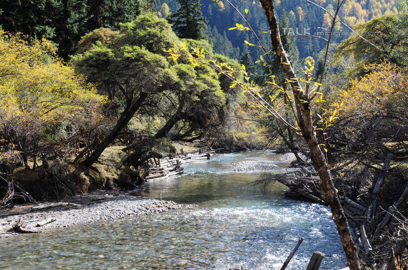 无人,横图,室外,白天,正面,旅游,度假,草地,草坪,河流,石头,美景,山,树林,水,雪,雪山,植物,大雪,中国,亚洲,许多,阴影,散落,光线,石子,影子,河水,积雪,景观,山峰,水流,雪景,云,云朵,冬天,山峦,云彩,娱乐,草,树,树干,树木,树枝,蓝色,绿色,白云,蓝天,天空,阳光,自然,天,享受,休闲,景色,放松,四川省,生长,成长,自然风光,东亚,四川,阿坝,中华人民共和国,西南地区,阿坝藏族羌族自治州,阿坝州,川,双桥沟,四姑娘山,石块,岩石,彩图,shsgf1
