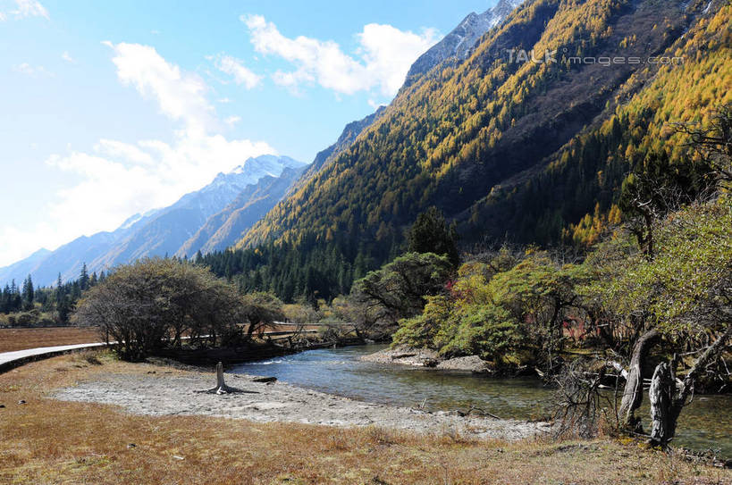 无人,横图,室外,白天,正面,旅游,度假,草地,草坪,河流,美景,山,树林,水,雪,雪山,植物,大雪,中国,亚洲,阴影,枯萎,光线,影子,河水,积雪,景观,山峰,水流,雪景,云,云朵,冬天,枯草,山峦,云彩,娱乐,草,树,树木,蓝色,绿色,白云,蓝天,天空,阳光,自然,天,享受,休闲,景色,放松,四川省,生长,成长,自然风光,东亚,四川,阿坝,中华人民共和国,西南地区,阿坝藏族羌族自治州,阿坝州,川,双桥沟,四姑娘山,彩图,shsgf1