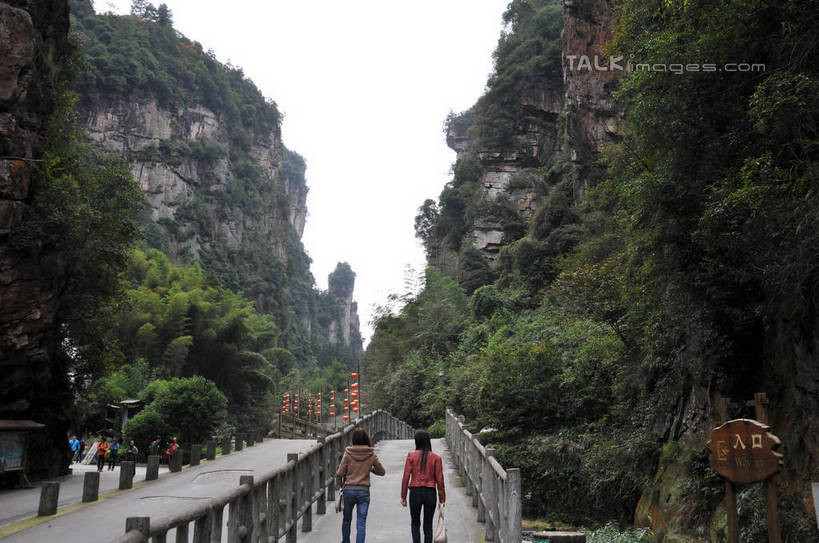 东方人,两个人,栏杆,走,横图,室外,白天,旅游,度假,美景,山,植物,道路,路,照明,张家界,中国,亚洲,一排,许多,行人,游客,游人,吊挂,悬挂,服装,整齐,包,标志,灯笼,皮包,文字,纸灯笼,字符,景观,山峰,围栏,小路,交通,山峦,挂,休闲装,黄种人,娱乐,标识,护栏,路人,旅客,树,树木,排列,背面,衣服,红色,绿色,天空,自然,灯具,天,享受,休闲,休闲服,汉字,景色,放松,服饰,生长,成长,单肩包,照亮,照明设备,队列,中文,自然风光,东亚,湖南,湖南省,中华人民共和国,国文,华文,华中地区,湘,张家界市,过客,武陵源区,宝峰湖,年轻女性,女人,女性,亚洲人,步行,散步,走路,彩图,全身,shsgf1