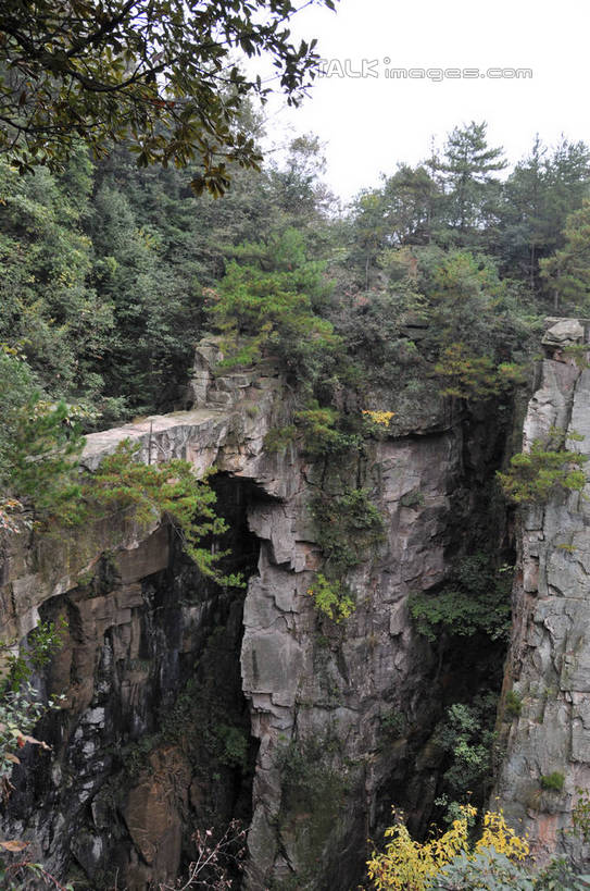 无人,竖图,俯视,室外,白天,旅游,度假,石头,美景,山,植物,张家界,中国,亚洲,石子,景观,山峰,悬崖,山峦,娱乐,树,树木,绿色,天空,自然,天,享受,休闲,景色,放松,生长,成长,自然风光,东亚,湖南,湖南省,天子山,中华人民共和国,绝壁,华中地区,湘,张家界市,武陵源区,大观台,石块,岩石,彩图,高角度拍摄,shsgf1