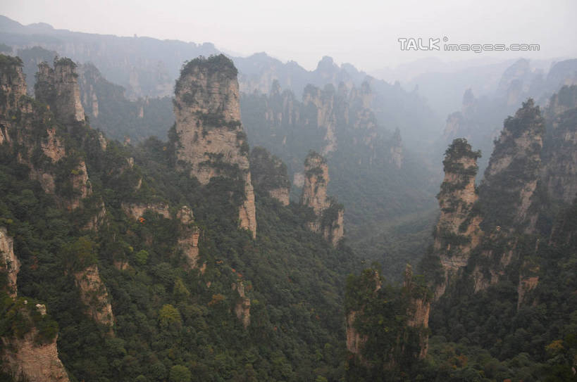 无人,横图,俯视,航拍,室外,白天,旅游,度假,美景,山,植物,张家界,中国,亚洲,景观,山峰,悬崖,山峦,娱乐,树,树木,绿色,天空,自然,天,享受,休闲,景色,放松,生长,成长,鸟瞰,自然风光,东亚,湖南,湖南省,天子山,中华人民共和国,绝壁,华中地区,湘,张家界市,武陵源区,大观台,彩图,高角度拍摄,shsgf1
