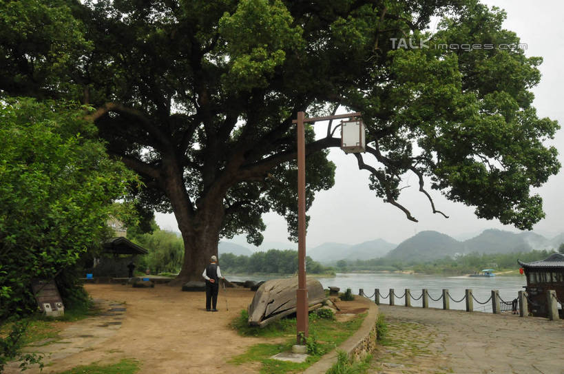 东方人,一个人,栏杆,站,横图,室外,白天,正面,旅游,度假,草地,草坪,湖,湖泊,美景,山,山脉,水,植物,路灯,照明,亚洲,仅一个男性,仅一个人,仅一个中年男性,阴影,服装,光线,影子,湖面,景观,山峰,水流,水面,围栏,灯光,山峦,注视,休闲装,黄种人,娱乐,护栏,灯,草,树,树木,衣服,蓝色,绿色,蓝天,天空,阳光,自然,湖水,群山,天,观察,看,站着,享受,休闲,休闲服,景色,放松,服饰,生长,晴朗,成长,观看,照亮,察看,照明设备,关注,自然风光,万里无云,古韵画乡,男人,男性,中年男性,亚洲人,晴空,晴空万里,站立,彩图,全身,shsgf1