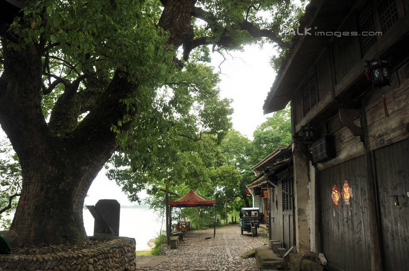 无人,家,商店,横图,室外,白天,仰视,度假,美景,植物,城市风光,城市,道路,路,房屋,屋子,景观,小路,交通,娱乐,商铺,楼房,住宅,树,树木,绿色,天空,自然,天,享受,休闲,景色,放松,生长,晴朗,成长,万里无云,市肆,商号,古韵画乡,晴空,晴空万里,彩图,低角度拍摄,房子,店铺,shsgf1