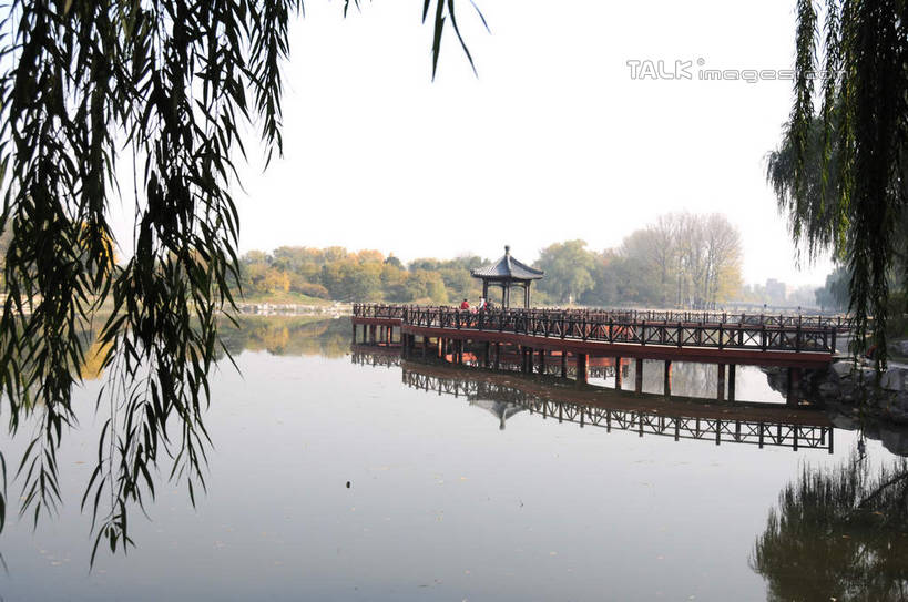 无人,公园,横图,室外,白天,正面,旅游,度假,湖,湖泊,名胜古迹,水,植物,标志建筑,地标,建筑,柳树,北京,圆明园,中国,亚洲,阴影,波纹,遗迹,光线,木板,影子,亭子,湖面,水流,水面,桥,木桥,涟漪,首都,古迹,文物,娱乐,建设,古建筑,垂柳,栈桥,树,树木,蓝色,绿色,倒影,蓝天,水纹,天空,阳光,自然,波浪,湖水,天,享受,休闲,旅游胜地,放松,生长,晴朗,成长,人行桥,木板桥,倒映,古文明,东亚,海淀区,万里无云,中华人民共和国,北京市,京,北平,华北地区,水晕,倒挂柳,反照,晴空,晴空万里,垂枝柳,彩图,圆明园遗址,圆明园遗址公园,shsgf1
