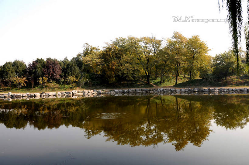 无人,公园,横图,室外,白天,正面,旅游,度假,湖,湖泊,名胜古迹,水,植物,标志建筑,地标,建筑,柳树,北京,圆明园,中国,亚洲,阴影,波纹,遗迹,光线,影子,湖面,水流,水面,涟漪,首都,古迹,文物,娱乐,建设,古建筑,垂柳,树,树木,蓝色,绿色,倒影,蓝天,水纹,天空,阳光,自然,波浪,湖水,天,享受,休闲,旅游胜地,放松,生长,晴朗,成长,倒映,古文明,东亚,海淀区,万里无云,中华人民共和国,北京市,京,北平,华北地区,水晕,倒挂柳,反照,晴空,晴空万里,垂枝柳,彩图,圆明园遗址,圆明园遗址公园,shsgf1