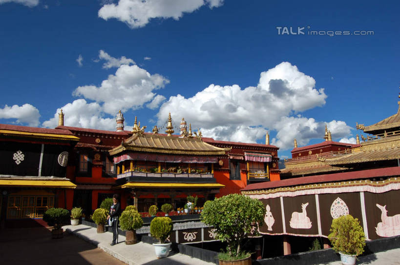 无人,宫殿,横图,室外,白天,正面,旅游,度假,名胜古迹,植物,标志建筑,地标,建筑,布达拉宫,中国,亚洲,阴影,节日,遗迹,光线,影子,云,云朵,建筑群,云彩,古迹,文化,文物,娱乐,建设,古建筑,拉萨,西藏,树,树木,蓝色,绿色,白云,蓝天,天空,阳光,自然,天,祈祷,享受,休闲,健康,旅游胜地,放松,许愿,宗教,佛教,信仰,生长,晴朗,成长,纪念,祈求,藏,古文明,东亚,西藏自治区,首府,中华人民共和国,西南地区,拉萨市,释教,第二普陀山,平安,晴空,彩图,shsgf1