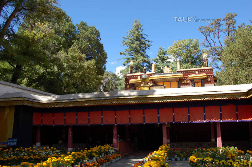 无人,寺庙,横图,室外,白天,正面,旅游,度假,名胜古迹,植物,标志建筑,地标,建筑,中国,亚洲,阴影,节日,遗迹,光线,影子,古迹,文化,文物,娱乐,建设,古建筑,拉萨,西藏,树,树木,蓝色,绿色,蓝天,天空,阳光,自然,庙宇,天,祈祷,享受,休闲,健康,旅游胜地,放松,许愿,宗教,佛教,信仰,生长,晴朗,成长,纪念,祈求,藏,古文明,东亚,西藏自治区,八角街,万里无云,首府,中华人民共和国,大昭寺,西南地区,拉萨市,释教,八廓街,平安,晴空,晴空万里,彩图,庙,寺,shsgf1