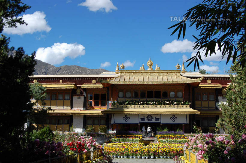 无人,寺庙,横图,室外,白天,正面,旅游,度假,名胜古迹,植物,标志建筑,地标,建筑,中国,亚洲,阴影,节日,遗迹,盛开,光线,影子,云,云朵,花蕾,云彩,古迹,文化,文物,娱乐,建设,古建筑,拉萨,西藏,花,花瓣,花朵,鲜花,树,树木,蓝色,绿色,白云,蓝天,天空,阳光,自然,庙宇,天,花苞,花蕊,祈祷,享受,休闲,健康,旅游胜地,放松,许愿,宗教,佛教,信仰,生长,晴朗,成长,纪念,祈求,藏,古文明,东亚,西藏自治区,八角街,首府,中华人民共和国,大昭寺,西南地区,拉萨市,释教,八廓街,平安,晴空,彩图,庙,寺,shsgf1