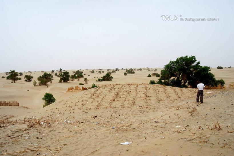 东方人,一个人,农田,站,横图,室外,白天,正面,旅游,度假,庄稼,农作物,美景,植物,中国,亚洲,仅一个男性,仅一个人,服装,景观,休闲装,黄种人,娱乐,树,树木,仅一个年轻男性,衣服,蓝色,绿色,蓝天,天空,自然,天,站着,享受,休闲,休闲服,景色,放松,服饰,生长,晴朗,成长,自然风光,东亚,新疆,阿克苏,阿克苏市,万里无云,中华人民共和国,新疆维吾尔自治区,西北地区,男人,男性,年轻男性,亚洲人,晴空,晴空万里,站立,彩图,全身,耕地,庄稼田,阿克苏地区,新,shsgf1