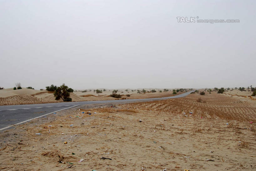 无人,农田,横图,室外,白天,正面,旅游,度假,庄稼,农作物,美景,植物,中国,亚洲,景观,娱乐,树,树木,蓝色,绿色,蓝天,天空,自然,天,享受,休闲,景色,放松,生长,晴朗,成长,自然风光,东亚,新疆,阿克苏,阿克苏市,万里无云,中华人民共和国,新疆维吾尔自治区,西北地区,晴空,晴空万里,彩图,耕地,庄稼田,阿克苏地区,新,shsgf1