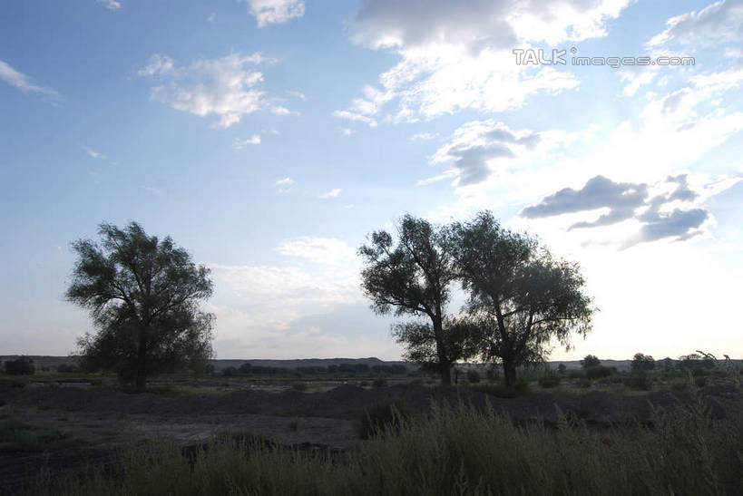 无人,横图,室外,白天,正面,旅游,度假,草地,草坪,美景,植物,喀纳斯,中国,亚洲,阴影,光线,影子,景观,云,云朵,云彩,娱乐,草,树,树木,蓝色,绿色,白云,蓝天,天空,阳光,自然,天,享受,休闲,景色,放松,生长,晴朗,成长,自然风光,东亚,喀纳斯湖,新疆,阿勒泰地区,布尔津县,伊犁,中华人民共和国,新疆维吾尔自治区,西北地区,伊犁哈萨克自治州,晴空,彩图,布尔津,新,shsgf1