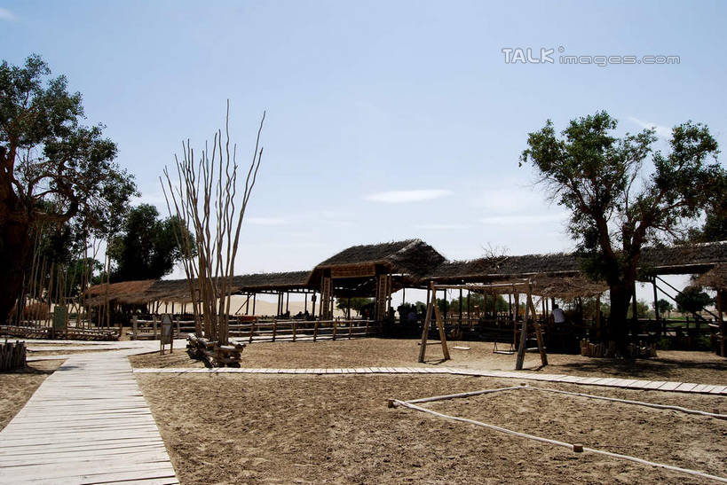 无人,餐厅,家,横图,室外,白天,正面,旅游,度假,美景,植物,中国,亚洲,阴影,光线,影子,房屋,屋子,景观,云,云朵,云彩,娱乐,楼房,住宅,树,树木,蓝色,绿色,白云,蓝天,天空,阳光,自然,天,享受,休闲,景色,放松,生长,晴朗,成长,自然风光,东亚,新疆,库尔勒,中华人民共和国,新疆维吾尔自治区,西北地区,巴音郭楞,巴音郭楞蒙古自治州,晴空,彩图,房子,餐馆,饭店,饭馆,新,shsgf1