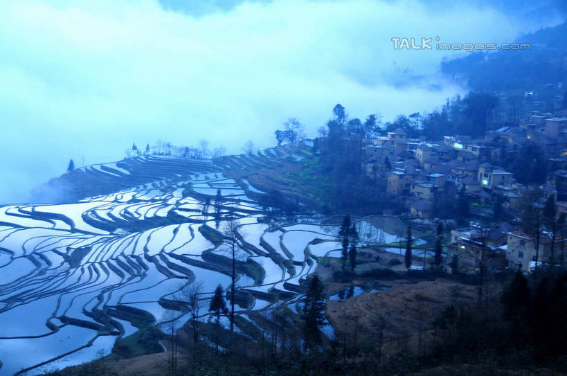 无人,农田,横图,俯视,航拍,室外,白天,旅游,度假,庄稼,梯田,农作物,美景,山,山脉,植物,雾,中国,亚洲,朦胧,模糊,曲折,弯曲,景观,山峰,山峦,娱乐,云南,树,树木,绿色,自然,群山,享受,休闲,景色,放松,蜿蜒,生长,成长,迷雾,鸟瞰,自然风光,东亚,元阳,云南省,多依树村,中华人民共和国,西南地区,滇,红河,红河州,红河哈尼族彝族自治州,元阳县,大雾,彩图,高角度拍摄,耕地,庄稼田,胜村,shsgf1