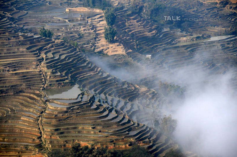 无人,农田,横图,俯视,航拍,室外,白天,旅游,度假,庄稼,梯田,农作物,美景,山,山脉,植物,雾,中国,亚洲,朦胧,模糊,曲折,弯曲,景观,山峰,山峦,娱乐,云南,树,树木,绿色,自然,群山,享受,休闲,景色,放松,蜿蜒,生长,成长,迷雾,鸟瞰,自然风光,东亚,元阳,云南省,中华人民共和国,西南地区,滇,红河,红河州,红河哈尼族彝族自治州,元阳县,大雾,彩图,高角度拍摄,耕地,庄稼田,shsgf1