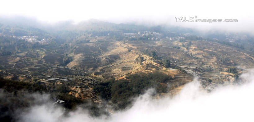 无人,农田,横图,俯视,航拍,室外,白天,旅游,度假,庄稼,梯田,农作物,美景,山,山脉,植物,雾,中国,亚洲,朦胧,模糊,曲折,弯曲,景观,山峰,山峦,娱乐,云南,树,树木,绿色,自然,群山,享受,休闲,景色,放松,蜿蜒,生长,成长,迷雾,鸟瞰,自然风光,东亚,元阳,云南省,中华人民共和国,西南地区,滇,红河,红河州,红河哈尼族彝族自治州,元阳县,大雾,彩图,高角度拍摄,耕地,庄稼田,shsgf1