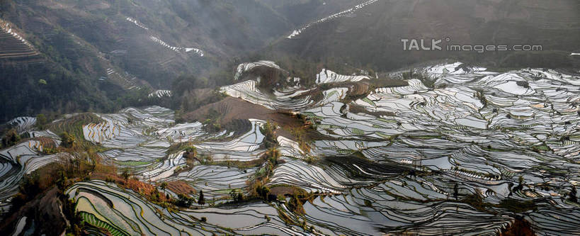 无人,农田,横图,俯视,航拍,室外,白天,旅游,度假,庄稼,梯田,农作物,美景,山,山脉,植物,中国,亚洲,曲折,弯曲,景观,山峰,山峦,娱乐,云南,树,树木,绿色,自然,群山,享受,休闲,景色,放松,蜿蜒,生长,成长,鸟瞰,自然风光,东亚,元阳,云南省,中华人民共和国,西南地区,滇,红河,红河州,红河哈尼族彝族自治州,元阳县,彩图,高角度拍摄,耕地,庄稼田,老虎嘴,shsgf1
