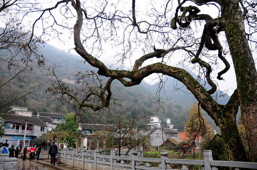 东方人,家,走,横图,室外,白天,正面,旅游,度假,美景,山,山脉,植物,中国,亚洲,行人,游客,游人,服装,房屋,屋子,景观,山峰,枝条,山峦,许多人,休闲装,黄种人,娱乐,楼房,路人,旅客,住宅,树,树木,树枝,衣服,绿色,天空,自然,群山,天,一群人,享受,休闲,休闲服,景色,放松,服饰,生长,成长,自然风光,东亚,贵州,贵州省,兴义市,中华人民共和国,黔,西南地区,黔西南,黔西南州,黔西南布依族苗族自治州,虬枝,枝杈,过客,男人,男性,年轻男性,年轻女性,女人,女性,亚洲人,步行,散步,走路,彩图,全身,房子,兴义,shsgf1