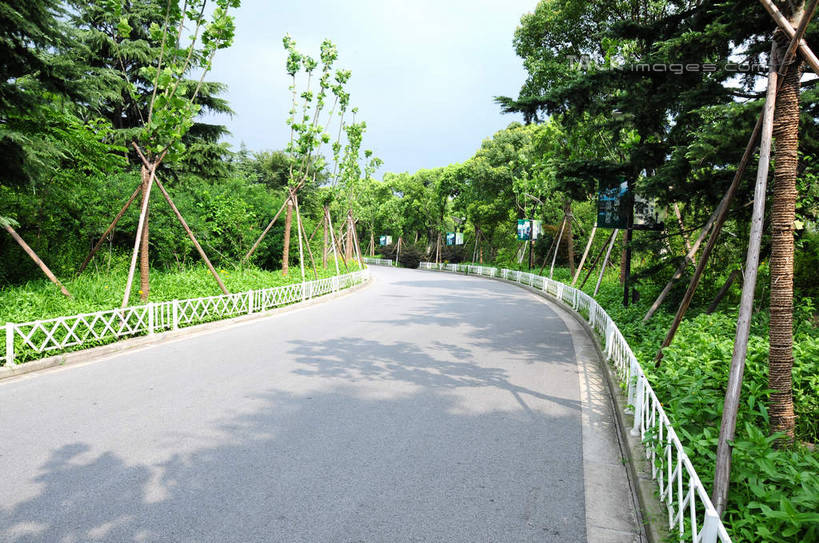 无人,公园,栏杆,横图,室外,白天,正面,旅游,度假,草地,草坪,美景,植物,道路,路,上海,中国,亚洲,栅栏,景观,篱笆,围栏,小路,交通,娱乐,护栏,草,树,树木,绿色,天空,自然,天,享受,休闲,景色,放松,生长,成长,申,自然风光,宝山区,东亚,上海市,炮台湾湿地森林公园,中华人民共和国,沪,华东地区,彩图,吴淞炮台湾湿地森林公园,shsgf1