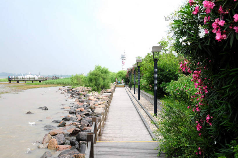 无人,公园,横图,室外,白天,正面,旅游,度假,美景,植物,路灯,照明,上海,中国,亚洲,一排,阴影,整齐,盛开,光线,影子,景观,灯光,花蕾,娱乐,灯,花,花瓣,花朵,鲜花,树,树木,排列,蓝色,绿色,蓝天,天空,阳光,自然,天,花苞,花蕊,享受,休闲,景色,放松,生长,晴朗,成长,照亮,申,照明设备,队列,自然风光,宝山区,东亚,上海市,炮台湾湿地森林公园,万里无云,中华人民共和国,沪,华东地区,晴空,晴空万里,彩图,吴淞炮台湾湿地森林公园,shsgf1