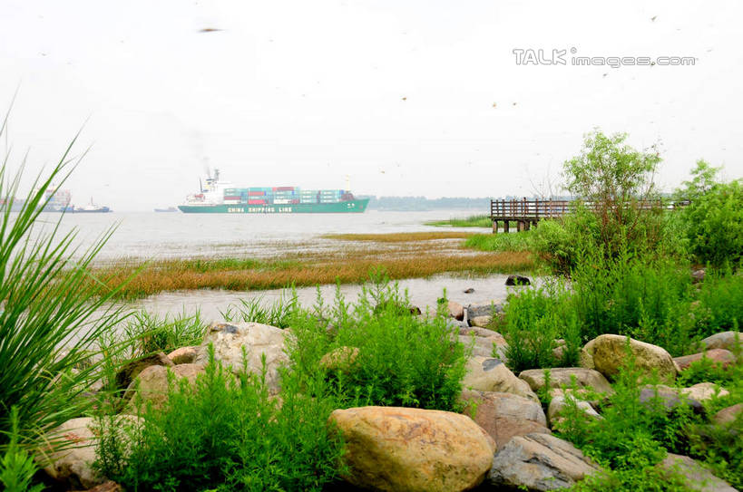 无人,公园,横图,室外,白天,正面,旅游,度假,草地,草坪,河流,石头,美景,水,植物,轮船,船,上海,中国,亚洲,石子,河水,景观,水流,娱乐,草,绿色,天空,自然,交通工具,天,享受,休闲,景色,放松,申,自然风光,载具,宝山区,东亚,上海市,炮台湾湿地森林公园,中华人民共和国,沪,华东地区,石块,岩石,彩图,吴淞炮台湾湿地森林公园,shsgf1