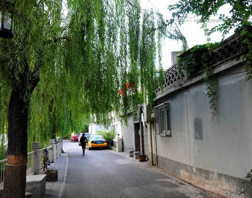 无人,家,横图,室外,白天,正面,旅游,度假,美景,植物,城市风光,城市,道路,建筑,路,柳树,北京,中国,亚洲,阴影,光线,影子,房屋,墙,屋子,景观,公寓,小路,交通,首都,娱乐,建设,洋房,楼房,垂柳,墙壁,墙面,住宅,树,树木,绿色,天空,阳光,自然,天,享受,休闲,景色,放松,生长,成长,东亚,中华人民共和国,北京市,京,北平,华北地区,倒挂柳,垂枝柳,彩图,房子,shsgf1