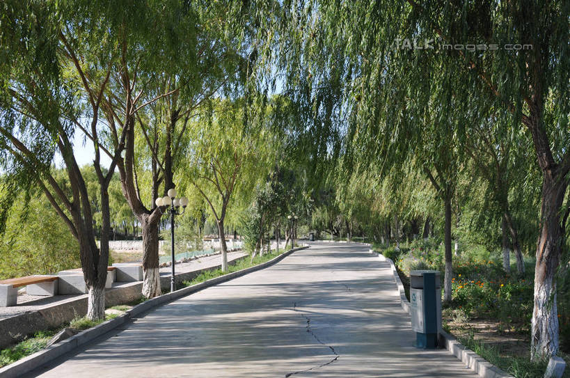 无人,横图,室外,白天,正面,旅游,度假,美景,植物,道路,路,路灯,照明,中国,亚洲,阴影,环保,朦胧,模糊,光线,影子,景观,小路,灯光,垃圾桶,交通,娱乐,灯,树,树木,一个,蓝色,绿色,蓝天,天空,阳光,自然,容器,天,享受,休闲,景色,放松,生长,能源,晴朗,单个,成长,储藏,垃圾箱,照亮,回收,资源,照明设备,储存,自然风光,利用,低碳,东亚,循环,甘肃,甘肃省,嘉峪关,万里无云,中华人民共和国,西北地区,甘,嘉峪关市,持续,晴空,晴空万里,彩图,贮存,shsgf1