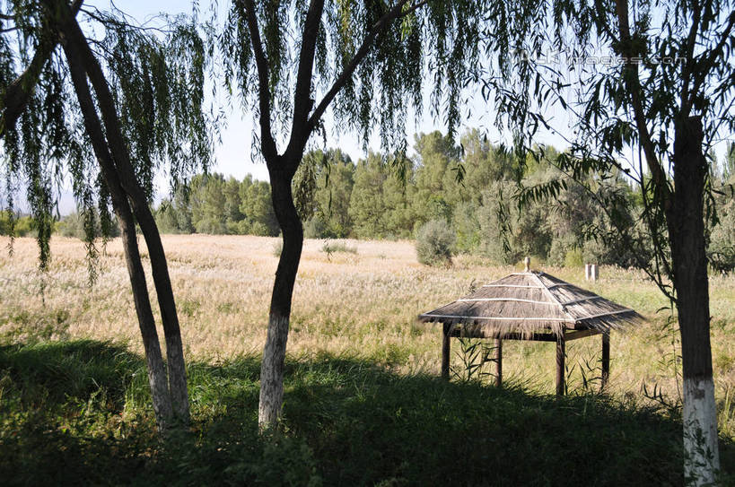 无人,横图,室外,白天,正面,旅游,度假,草地,草坪,名胜古迹,植物,标志建筑,地标,建筑,中国,亚洲,一座,阴影,朦胧,模糊,遗迹,光线,影子,草屋,古迹,文物,娱乐,建设,古建筑,草,树,树木,蓝色,绿色,蓝天,天空,阳光,自然,天,享受,休闲,旅游胜地,放松,生长,晴朗,成长,古文明,东亚,甘肃,甘肃省,嘉峪关,万里无云,中华人民共和国,西北地区,甘,嘉峪关市,晴空,晴空万里,彩图,茅舍,茅屋,shsgf1