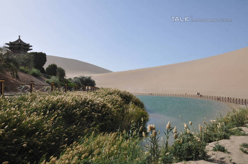 无人,横图,室外,白天,正面,旅游,度假,草地,草坪,美景,沙漠,植物,敦煌,中国,亚洲,阴影,光线,沙子,影子,楼,池塘,景观,水池,沙丘,娱乐,草,树,树木,蓝色,绿色,蓝天,天空,阳光,自然,天,享受,休闲,景色,放松,生长,晴朗,成长,自然风光,东亚,甘肃,甘肃省,万里无云,中华人民共和国,西北地区,甘,酒泉,酒泉市,敦煌鸣沙山,大漠,砂漠,晴空,晴空万里,彩图,shsgf1