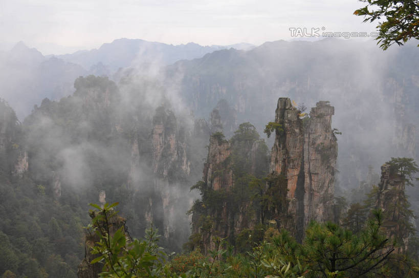 无人,横图,俯视,室外,白天,旅游,度假,石头,美景,森林,山,山脉,树林,植物,雾,张家界,中国,亚洲,阴影,朦胧,模糊,光线,石子,影子,景观,山顶,山峰,山峦,娱乐,树,树木,绿色,阳光,自然,群山,享受,休闲,景色,放松,生长,成长,迷雾,自然风光,东亚,沉积岩,湖南,湖南省,天子山,中华人民共和国,华中地区,湘,张家界市,颠峰,极峰,水成岩,武陵源区,石块,岩石,大雾,彩图,高角度拍摄,shsgf1
