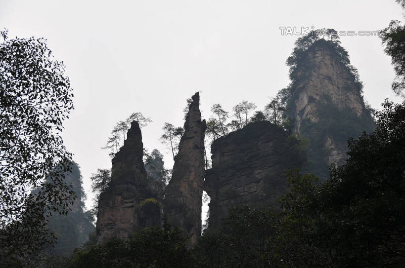 无人,横图,室外,白天,仰视,旅游,度假,草地,草坪,石头,美景,植物,张家界,中国,亚洲,阴影,光线,石子,影子,景观,娱乐,草,树,树木,蓝色,绿色,蓝天,天空,阳光,自然,天,享受,休闲,景色,放松,生长,晴朗,成长,自然风光,东亚,湖南,湖南省,万里无云,中华人民共和国,华中地区,湘,张家界市,石块,岩石,晴空,晴空万里,彩图,低角度拍摄,shsgf1