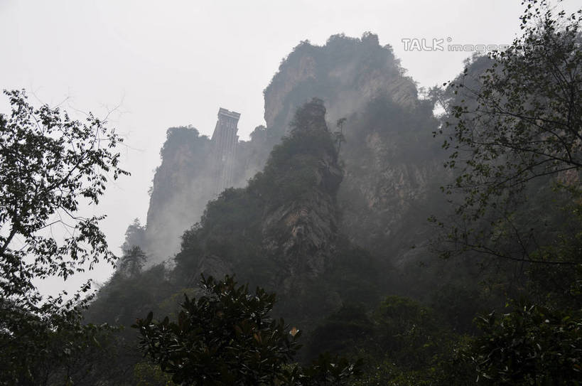 无人,横图,室外,白天,正面,旅游,度假,美景,森林,山,山脉,树林,植物,雾,张家界,中国,亚洲,朦胧,模糊,景观,山峰,山峦,娱乐,树,树木,绿色,天空,自然,群山,天,享受,休闲,景色,放松,生长,成长,迷雾,自然风光,东亚,湖南,湖南省,中华人民共和国,华中地区,湘,张家界市,大雾,彩图,shsgf1