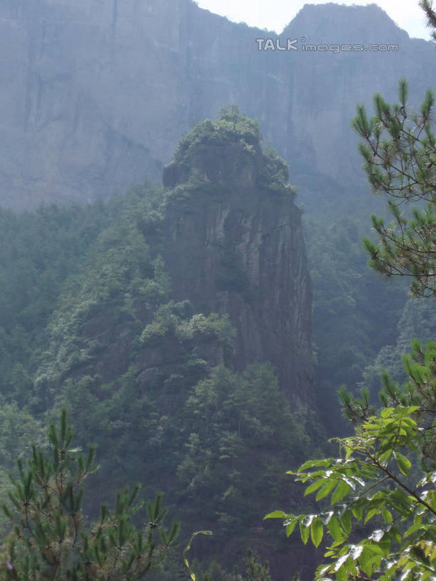 无人,竖图,室外,白天,仰视,旅游,度假,美景,森林,山,山脉,树林,植物,仙居,中国,亚洲,阴影,光线,影子,景观,山峰,山峦,娱乐,浙江,树,树木,浙江省,绿色,天空,阳光,自然,群山,天,享受,休闲,景色,放松,生长,成长,自然风光,东亚,中华人民共和国,华东地区,浙,台州,台州市,彩图,低角度拍摄,仙居县,shslj1
