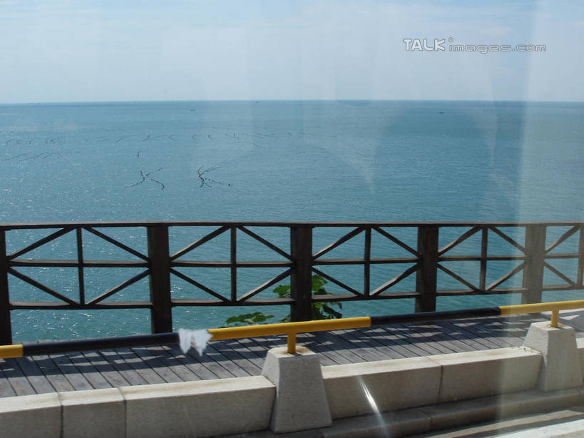 无人,栏杆,横图,室内,白天,正面,旅游,度假,海浪,海洋,美景,窗户,青岛,中国,亚洲,阴影,光线,影子,景观,浪花,水平线,云,云朵,围栏,辽阔,海平线,云彩,娱乐,山东,护栏,玻璃窗,蓝色,白云,蓝天,天空,阳光,自然,海水,车窗,天,享受,休闲,广阔,景色,放松,晴朗,一望无际,自然风光,海景,东亚,山东省,中华人民共和国,华东地区,鲁,青岛市,无边无际,一马平川,大海,风浪,海,海水的波动,近岸浪,涌浪,晴空,彩图,水天相接,水天一线,shslj1