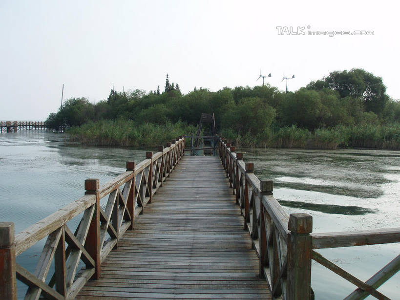 无人,横图,室外,白天,正面,旅游,度假,草地,草坪,湖,湖泊,美景,树林,水,植物,地板,太湖,中国,亚洲,阴影,波纹,光线,木板,影子,湖面,景观,水流,水面,桥,地面,木桥,涟漪,娱乐,江苏,苏州,木地板,栈桥,草,树,树木,蓝色,绿色,蓝天,水纹,天空,阳光,自然,波浪,湖水,天,享受,休闲,景色,放松,缥缈峰,西山,生长,晴朗,成长,人行桥,木板桥,自然风光,东亚,江苏省,苏州市,万里无云,中华人民共和国,华东地区,苏,水晕,吴中区,晴空,晴空万里,彩图,洞庭西山,包山,shslj1