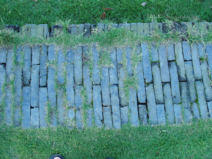 无人,公园,横图,俯视,室外,特写,白天,草地,草坪,石头,美景,植物,道路,路,上海,中国,亚洲,阴影,光线,石子,影子,景观,小路,交通,草,绿色,阳光,自然,景色,华泾公园,申,自然风光,东亚,徐汇区,上海市,中华人民共和国,沪,华东地区,石块,岩石,彩图,高角度拍摄,华泾路,shslj1