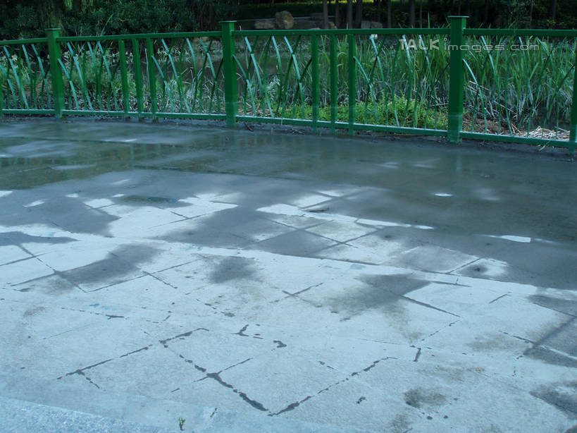 无人,公园,栏杆,横图,室外,白天,正面,旅游,度假,草地,草坪,美景,植物,道路,路,上海,中国,亚洲,阴影,光线,影子,景观,围栏,小路,交通,娱乐,护栏,草,绿色,阳光,自然,享受,休闲,景色,放松,华泾公园,潮湿,申,自然风光,东亚,徐汇区,上海市,中华人民共和国,沪,华东地区,湿润,彩图,华泾路,shslj1