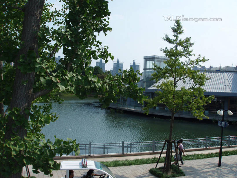 东方人,一个人,公园,家,栏杆,走,横图,室外,白天,侧面,度假,湖,湖泊,美景,水,植物,城市风光,城市,上海,中国,亚洲,仅一个男性,仅一个人,阴影,波纹,服装,光线,影子,房屋,屋子,湖面,景观,水流,水面,公寓,围栏,涟漪,休闲装,黄种人,娱乐,浦东,洋房,护栏,楼房,住宅,树,树木,仅一个年轻男性,衣服,蓝色,绿色,蓝天,水纹,天空,阳光,自然,波浪,湖水,天,享受,休闲,休闲服,景色,放松,服饰,世纪公园,生长,晴朗,成长,申,浦东新区,东亚,上海市,万里无云,中华人民共和国,沪,华东地区,水晕,男人,男性,年轻男性,亚洲人,晴空,晴空万里,步行,散步,走路,彩图,全身,房子,浦东中央公园,shslj1
