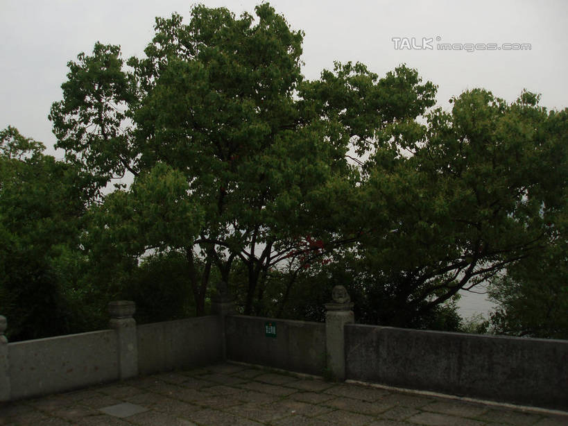 无人,栏杆,横图,室外,白天,正面,旅游,度假,美景,树林,植物,中国,亚洲,墙,景观,围栏,娱乐,浙江,护栏,墙壁,墙面,树,树木,浙江省,绿色,天空,自然,天,享受,休闲,景色,放松,千岛湖,海瑞祠,生长,成长,自然风光,东亚,中华人民共和国,华东地区,浙,彩图,淳安,淳安县,新安江水库,龙山岛,shslj1