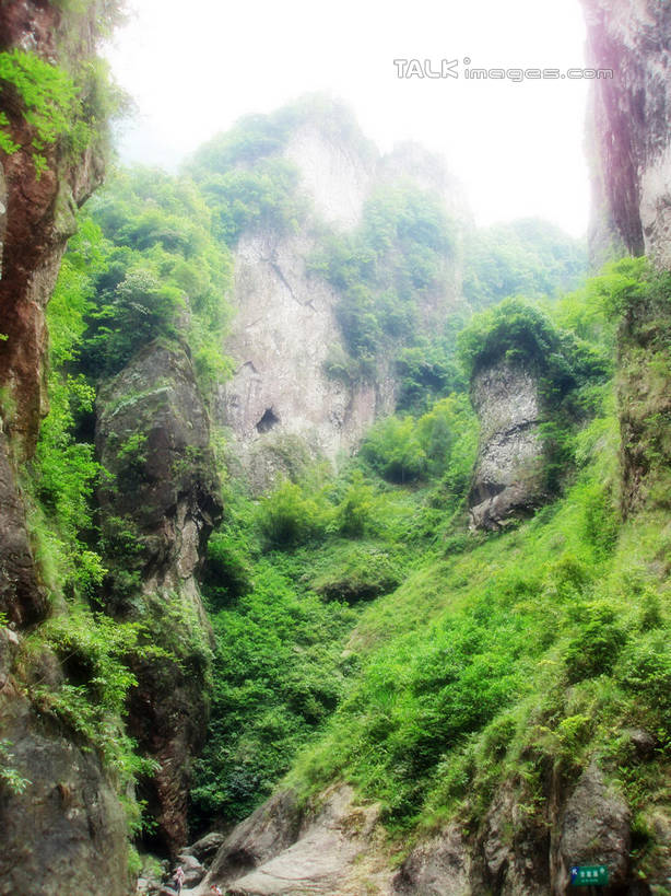 无人,竖图,室外,白天,仰视,旅游,度假,石头,美景,森林,山,山脉,树林,植物,中国,亚洲,朦胧,模糊,石子,景观,山峰,悬崖,山峦,娱乐,浙江,树,树木,浙江省,绿色,天空,自然,群山,天,享受,休闲,景色,放松,雁荡山,生长,成长,自然风光,东亚,中华人民共和国,华东地区,浙,温州,温州市,绝壁,石块,岩石,彩图,低角度拍摄,shslj1