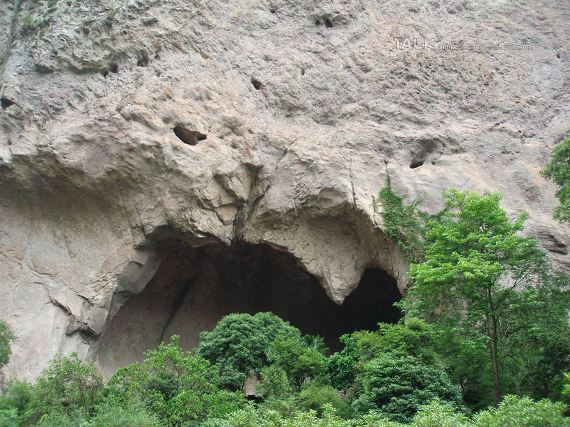 无人,横图,室外,白天,正面,旅游,度假,石头,美景,森林,山,山脉,树林,植物,中国,亚洲,石子,洞,景观,山峰,悬崖,山峦,娱乐,浙江,树,树木,浙江省,绿色,自然,群山,享受,休闲,景色,放松,洞穴,雁荡山,生长,成长,自然风光,东亚,穴,中华人民共和国,华东地区,浙,温州,温州市,绝壁,石块,岩石,彩图,shslj1