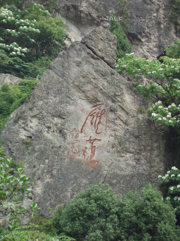 无人,竖图,室外,白天,仰视,旅游,度假,石头,美景,森林,山,山脉,树林,植物,中国,亚洲,标志,石子,文字,字符,景观,山峰,悬崖,山峦,娱乐,标识,浙江,树,树木,浙江省,绿色,自然,群山,享受,休闲,汉字,景色,放松,雁荡山,生长,成长,中文,自然风光,东亚,中华人民共和国,华东地区,浙,温州,温州市,国文,华文,绝壁,石块,岩石,彩图,低角度拍摄,shslj1