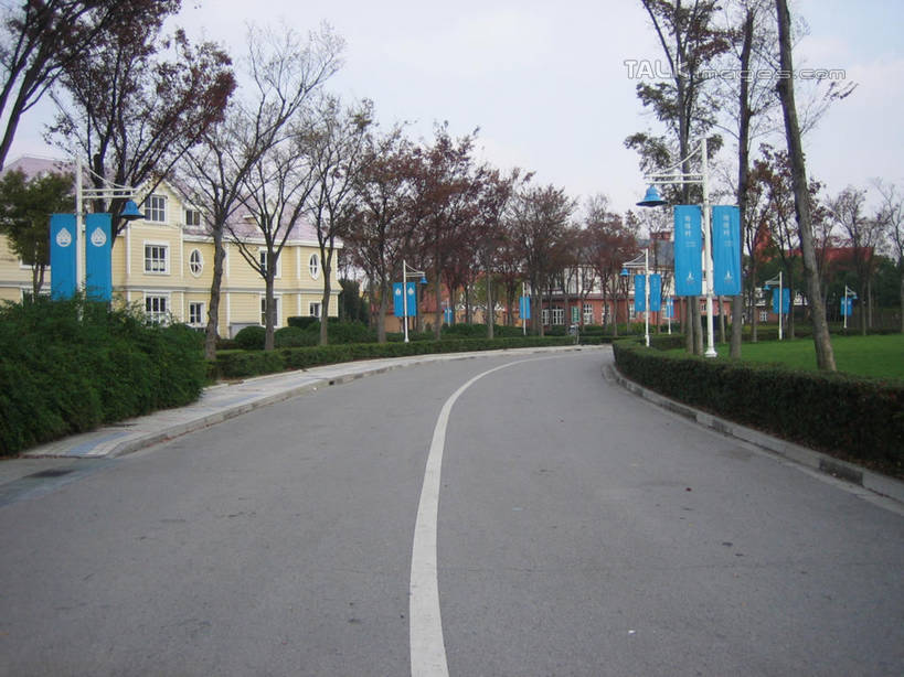 无人,横图,室外,白天,正面,度假,草地,草坪,美景,植物,城市风光,城市,道路,路,旗帜,上海,中国,亚洲,景观,小路,分界线,停车线,交通,娱乐,旗子,草,树,树木,绿色,天空,自然,天,享受,休闲,景色,放松,东方绿舟,生长,成长,车行道,车行道分界线,申,标线,青浦区,东亚,车行线,上海市,中华人民共和国,沪,华东地区,旌旗,旗号,彩图,shslj1