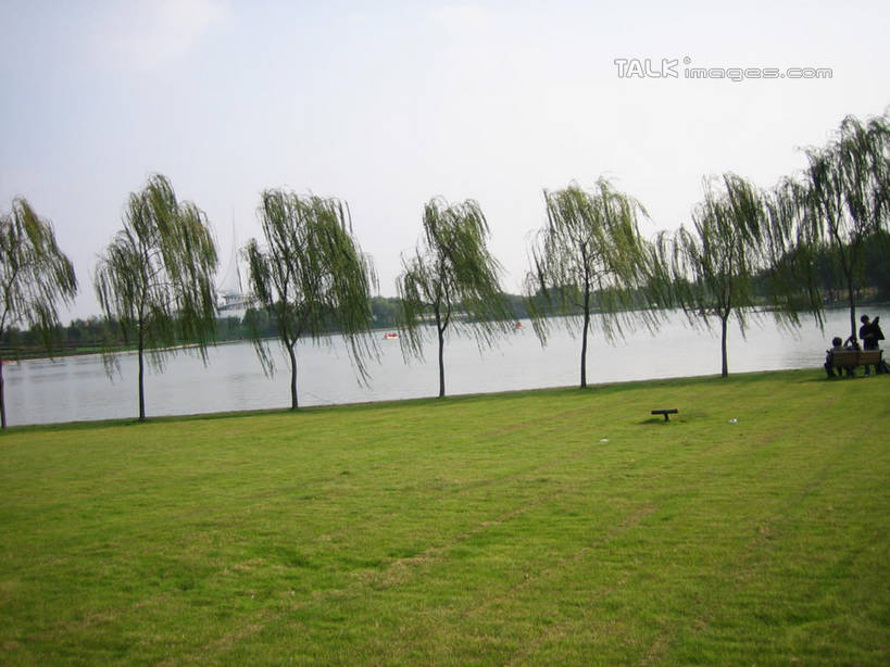 无人,横图,室外,白天,正面,度假,草地,草坪,湖,湖泊,美景,水,植物,城市风光,城市,上海,中国,亚洲,湖面,景观,水流,水面,娱乐,草,树,树木,绿色,天空,自然,湖水,天,享受,休闲,景色,放松,东方绿舟,生长,成长,申,青浦区,东亚,上海市,中华人民共和国,沪,华东地区,彩图,shslj1