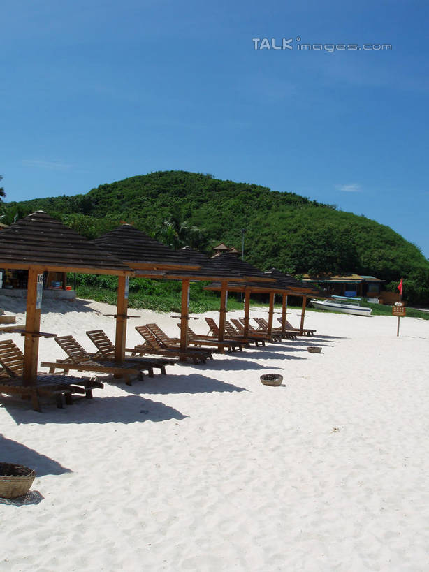 无人,竖图,室外,白天,正面,旅游,度假,美景,沙滩,树林,植物,棕榈树,叶子,椅子,三亚,中国,亚洲,阴影,光线,伞,沙子,影子,雨伞,遮阳伞,躺椅,海岸,景观,绿叶,沙地,娱乐,阳伞,树,树木,海南,蓝色,绿色,蓝天,天空,阳光,自然,天,享受,休闲,嫩叶,景色,放松,海南省,生长,晴朗,成长,沙滩椅,太阳伞,自然风光,东亚,棕榈叶,三亚市,万里无云,中华人民共和国,华南地区,琼,叶,叶片,海滩,晴空,晴空万里,棕树,棕榈,彩图,shslj1